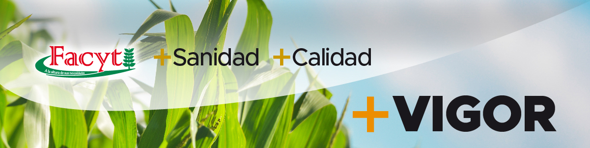 Campaña Gruesa